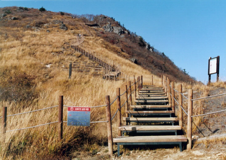 등산로의 계단들