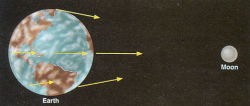 지상의 여러 곳에 미치는 달의 차등
                    인력(차이는 편리상 과장되었다.)