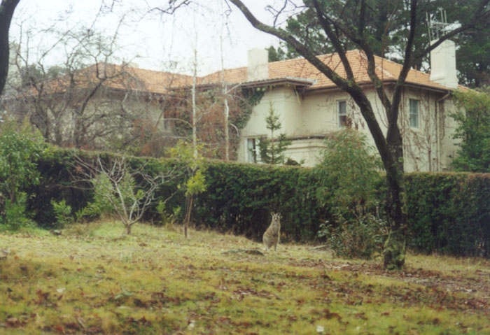 Mt.Stromlo 천문대의 캥거루